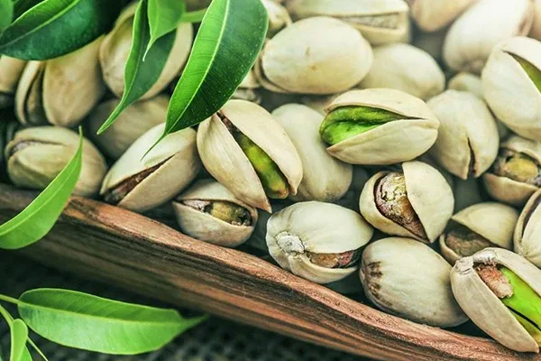 فستق حلبي بالقشر، الفستق الأخضر من أشهر أنواع المكسرات في مصر